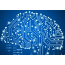 18807_Algorithmen-Kopf blau 225 225.jpg